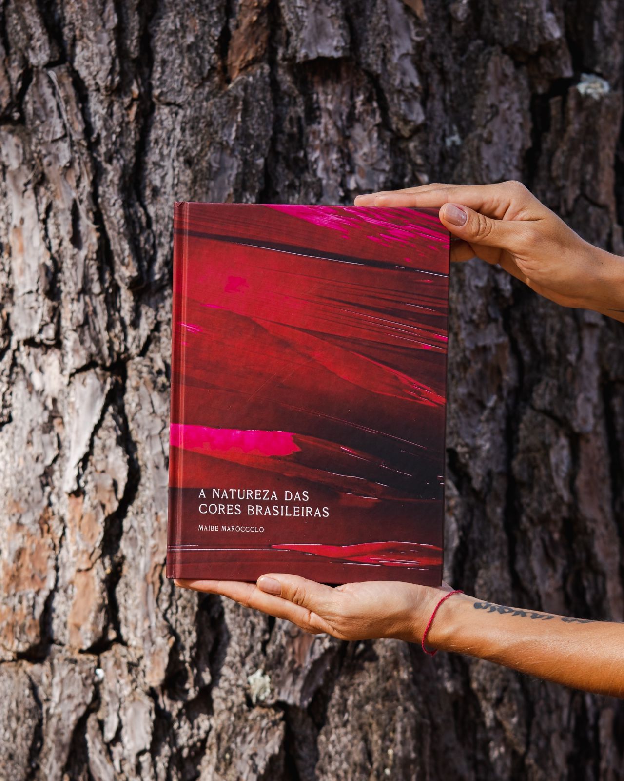 whatsapp image 2024 09 11 at 16.01.19