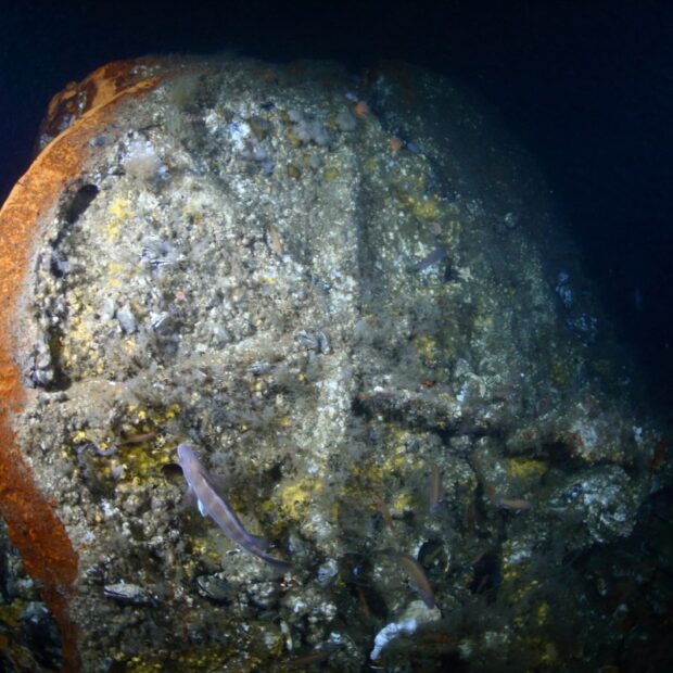 us france shipwreck le lyonnais
