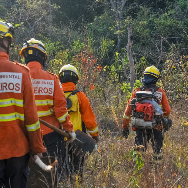 foto joel rodrigues 4