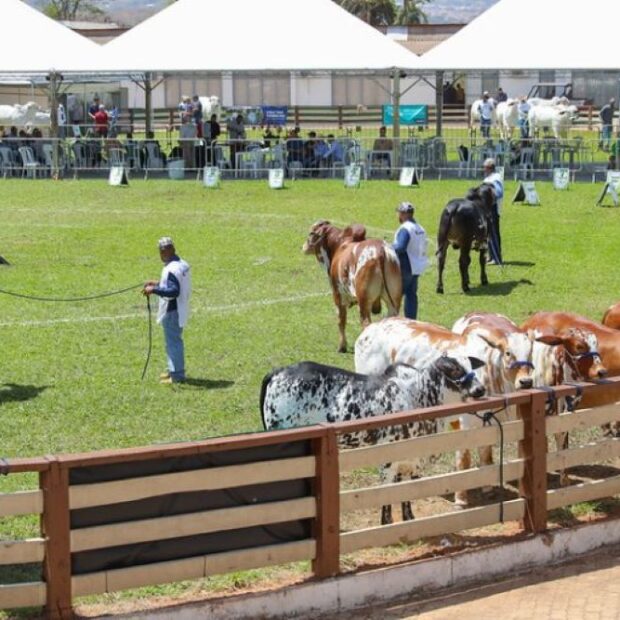 foto paulo h. carvalho2 768x512