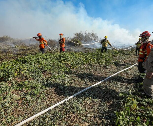 combate a incendios no pantanal 109 768x511