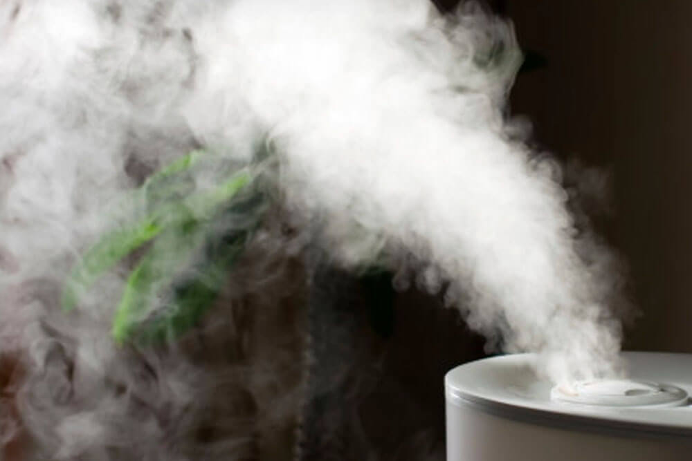 hospital paulista umificador de ar