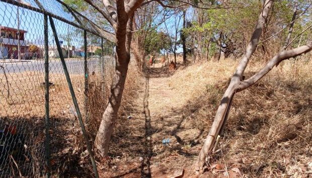 foto 3 mat aceiro palantina 768x355