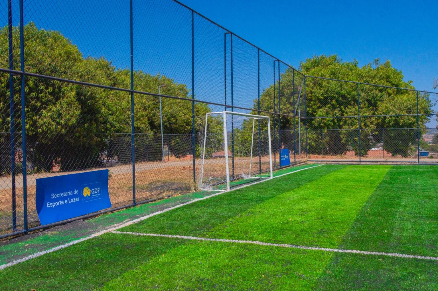 campo sintético