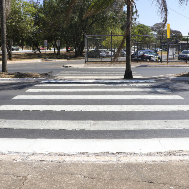 dentro 3 1 2