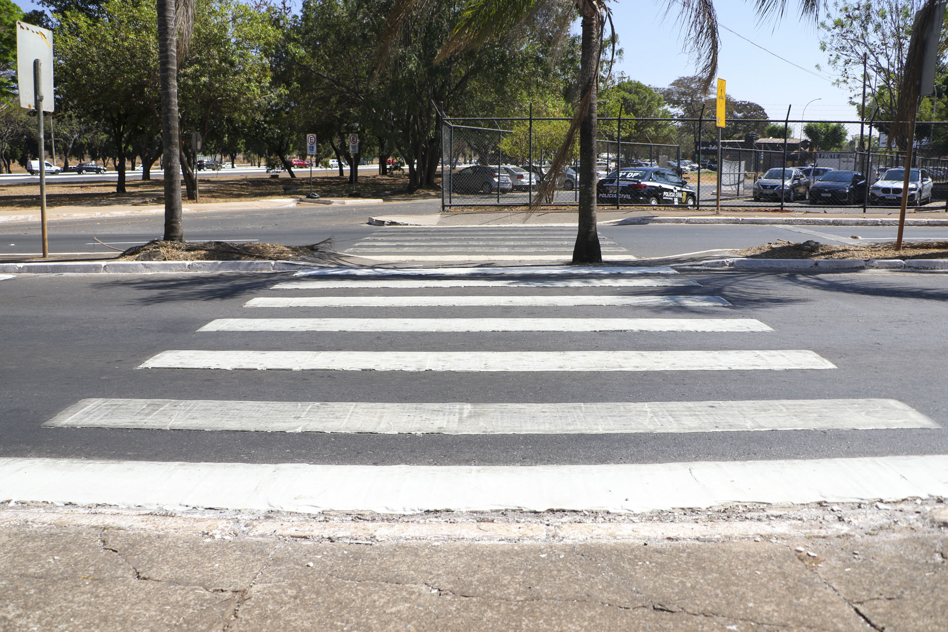 dentro 3 1 2