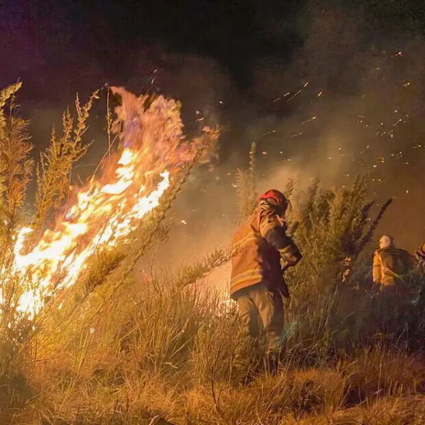 incendio parque itatiaia 2 160624