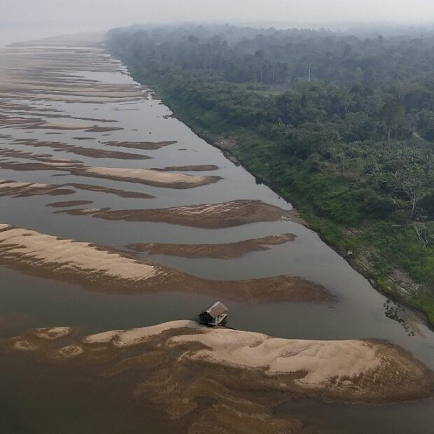 brasil dia da amazonia amazonas amazonia 1725550072