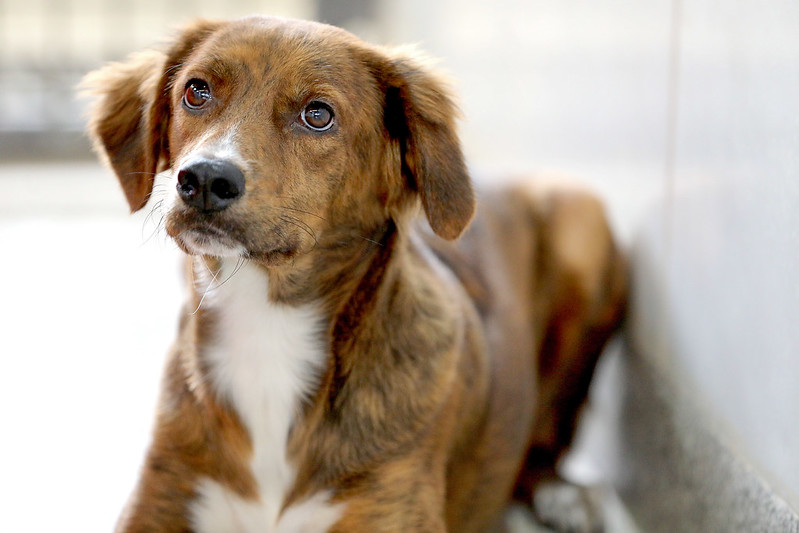 foto paulo h. carvalho 2