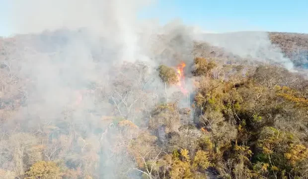 mato grosso queimada