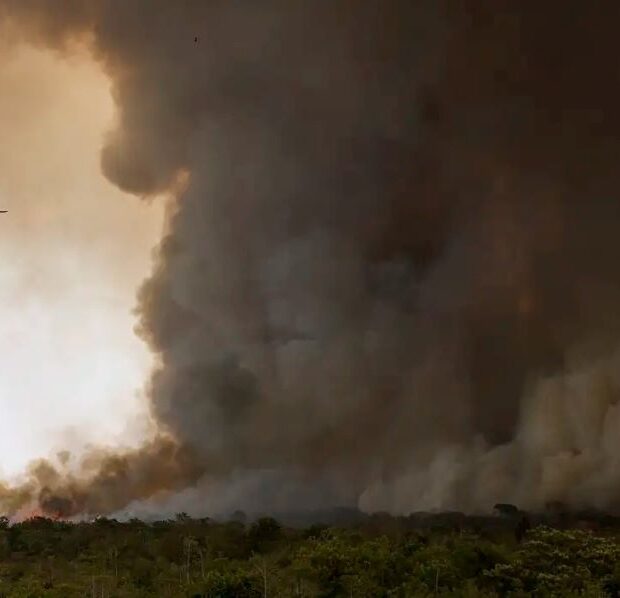 incendio parque nacional de brasilia