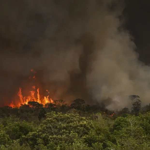 incendio parque nacionall mcamgo abr 16092024 7
