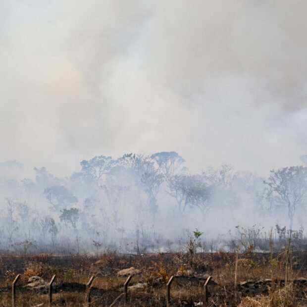 brazil environment fire