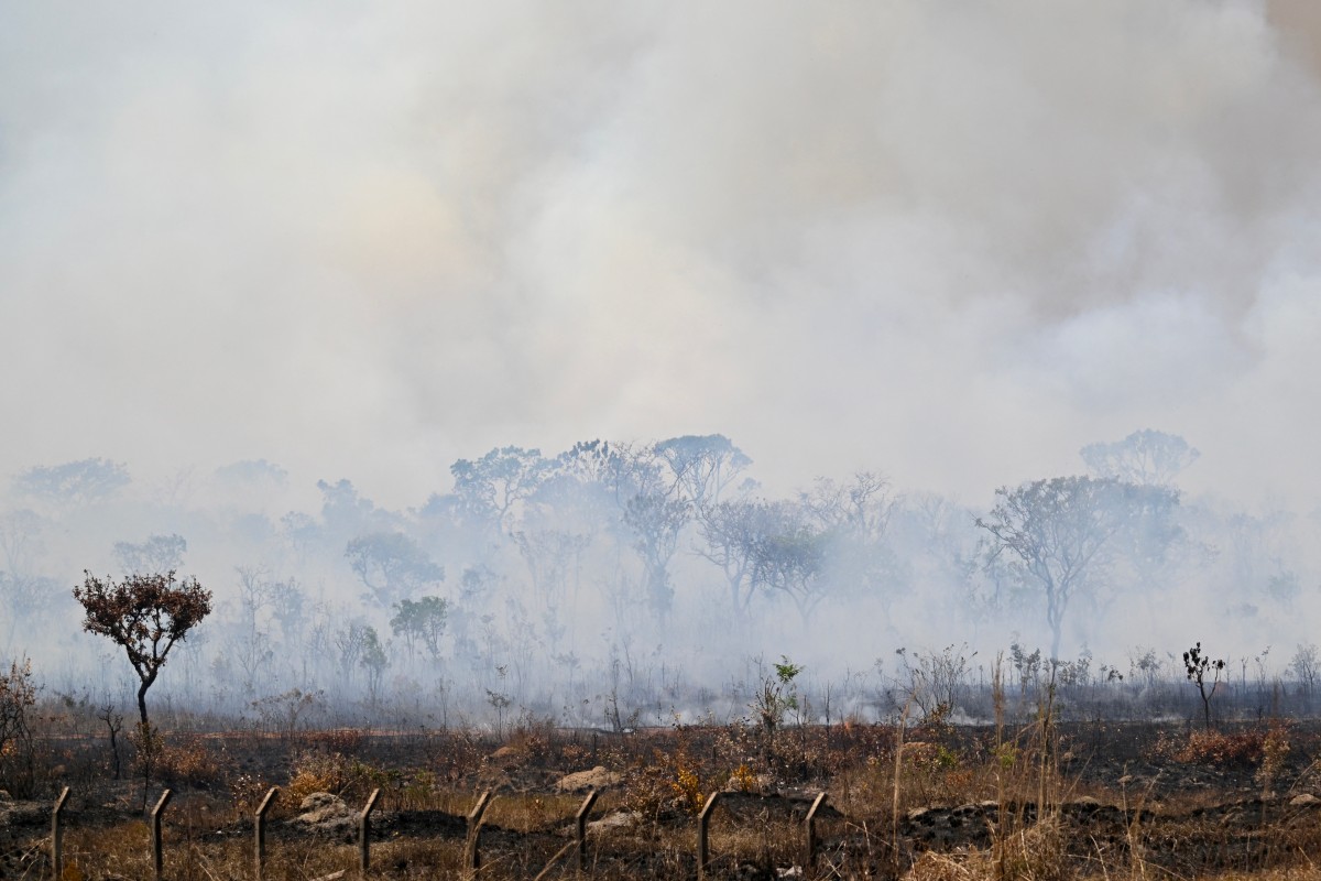 brazil environment fire