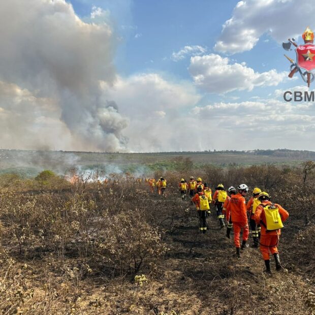 imagem do whatsapp de 2024 09 16 à(s) 15.59.22 435a7fa6