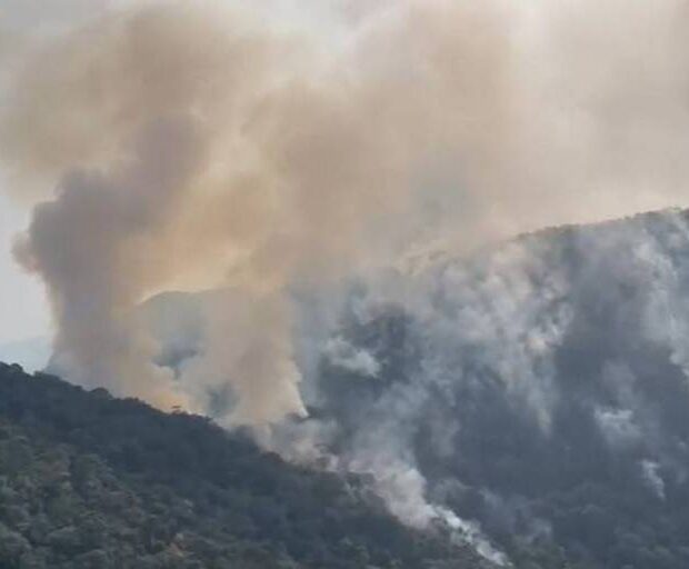 172652132666e89feeefe3f 1726521326 3x2 md