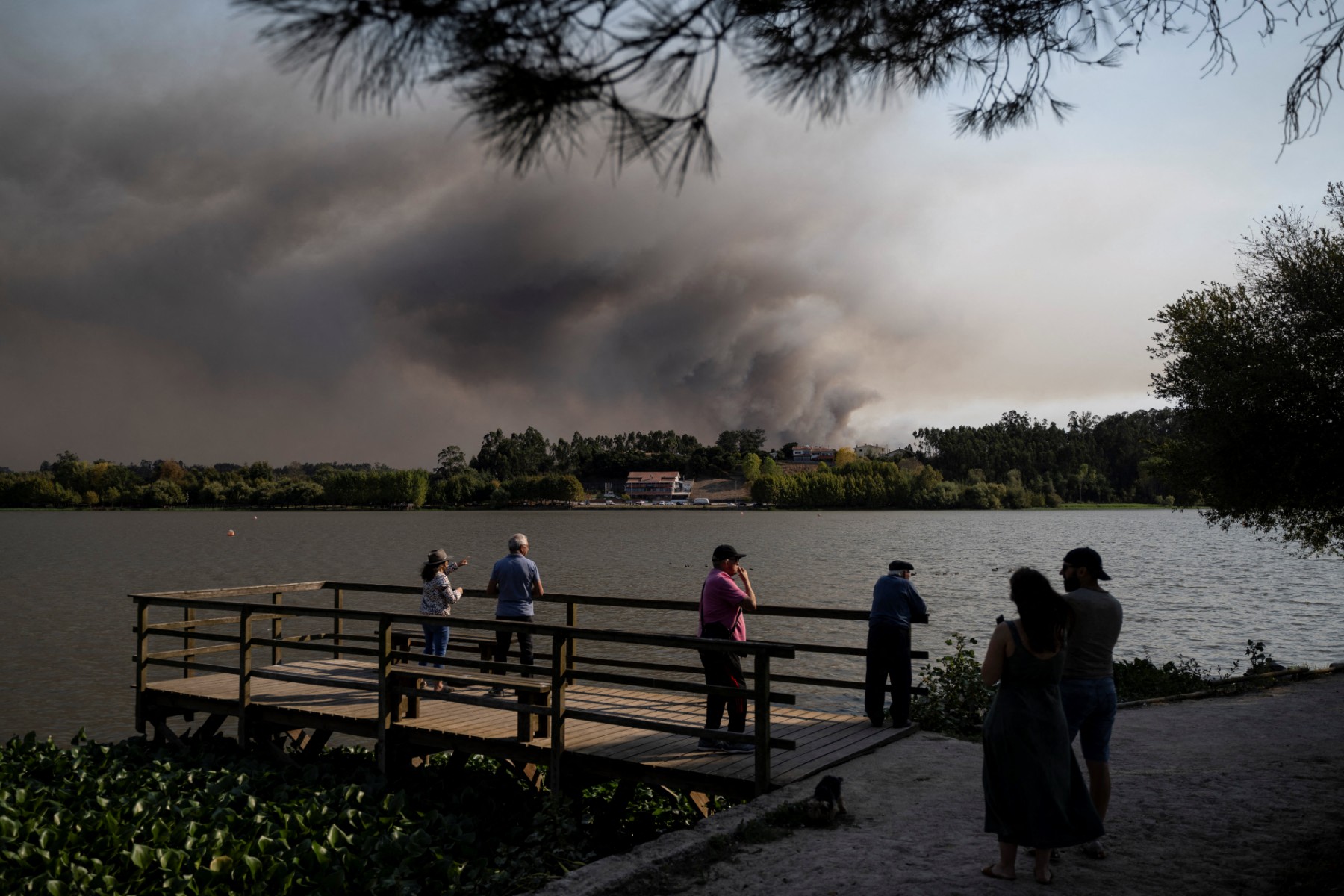 portugal environment wildfire climate