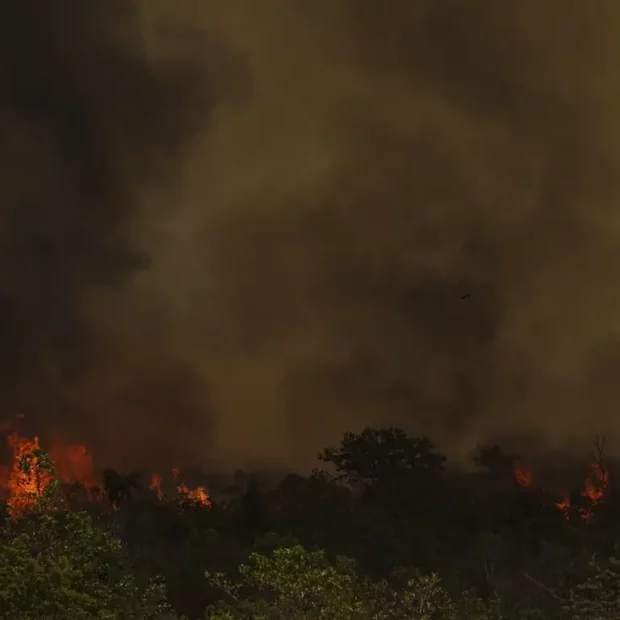 incendio parque nacionall mcamgo abr 16092024 5