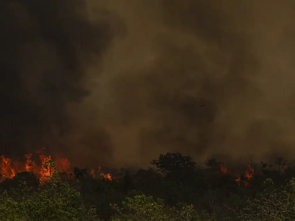 incendio parque nacionall mcamgo abr 16092024 5