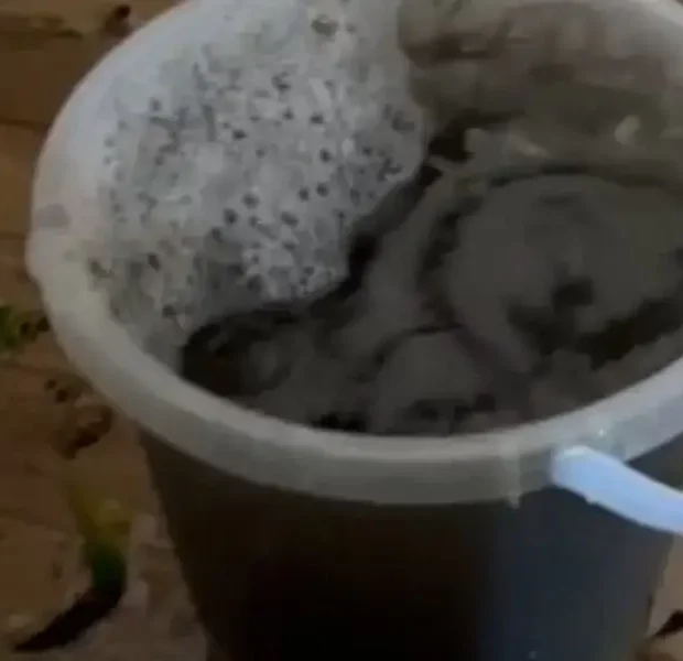 cidades da regiao tem registro de chuva preta provocada pela fuligem das queimadas na amazonia