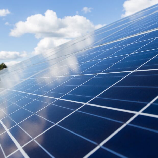 whatsapp image 2024 09 17 at 11.26.21 (1)