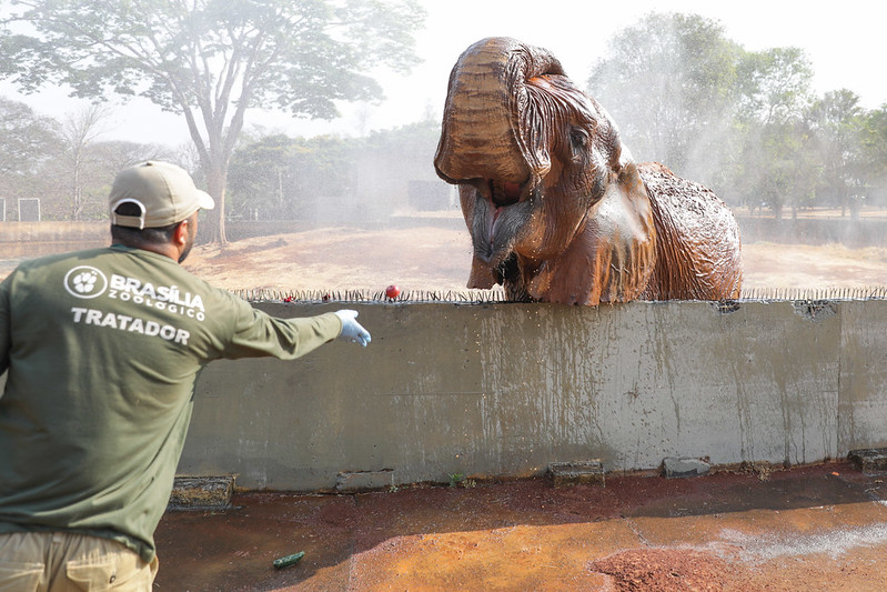 zoológico de brasília