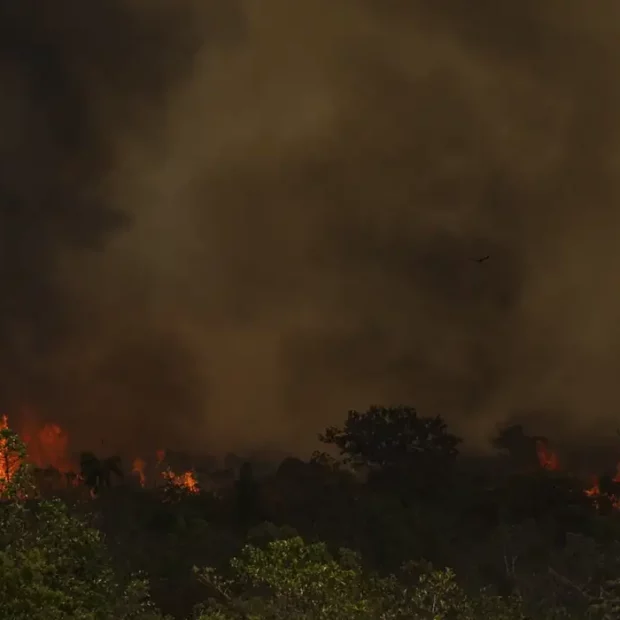 incendio parque nacionall mcamgo abr 16092024 5