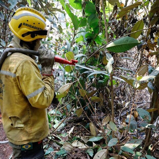 bombeiros brigadista enfriamento do solo parque nacional de brasilia