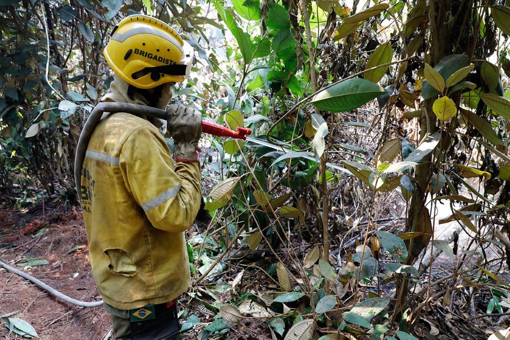 bombeiros brigadista enfriamento do solo parque nacional de brasilia