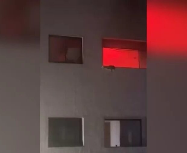 whatsapp image 2024 09 18 at 15.56.26