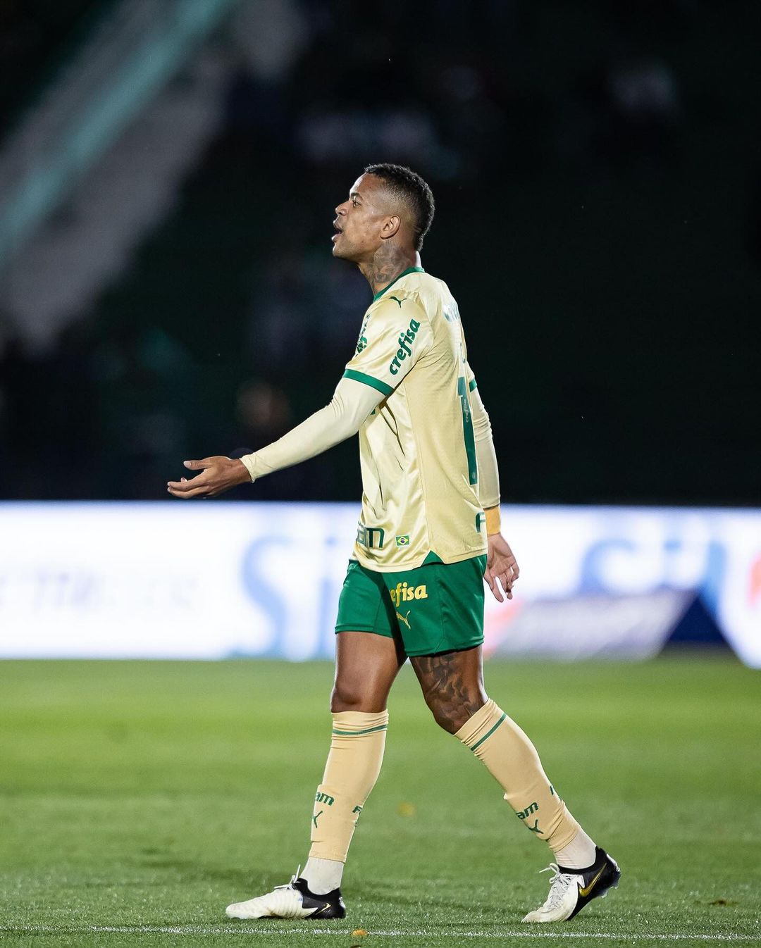 snapinsta.app 456580004 526967383130165 7432468000294068757 n 1080