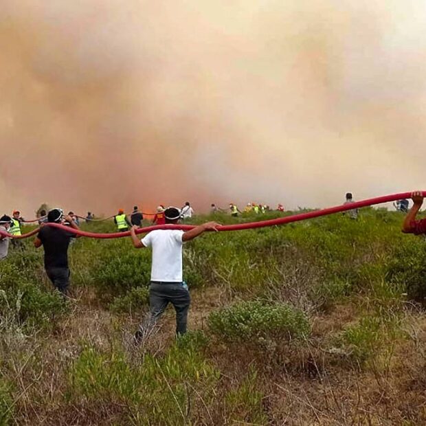 whatsapp image 2024 09 18 at 16.44.57