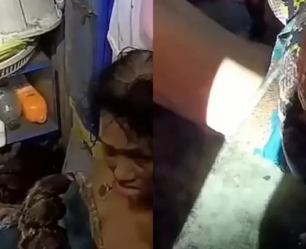 mulher de 64 anos contou que foi atacada por cobra quando estava lavando a louca do jantar nos fundos da propria casa 1726667136370 v2 900x506.jpg