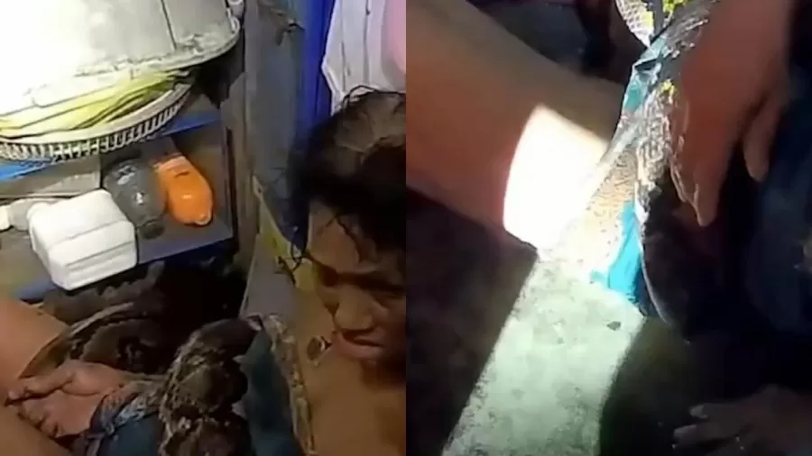 mulher de 64 anos contou que foi atacada por cobra quando estava lavando a louca do jantar nos fundos da propria casa 1726667136370 v2 900x506.jpg