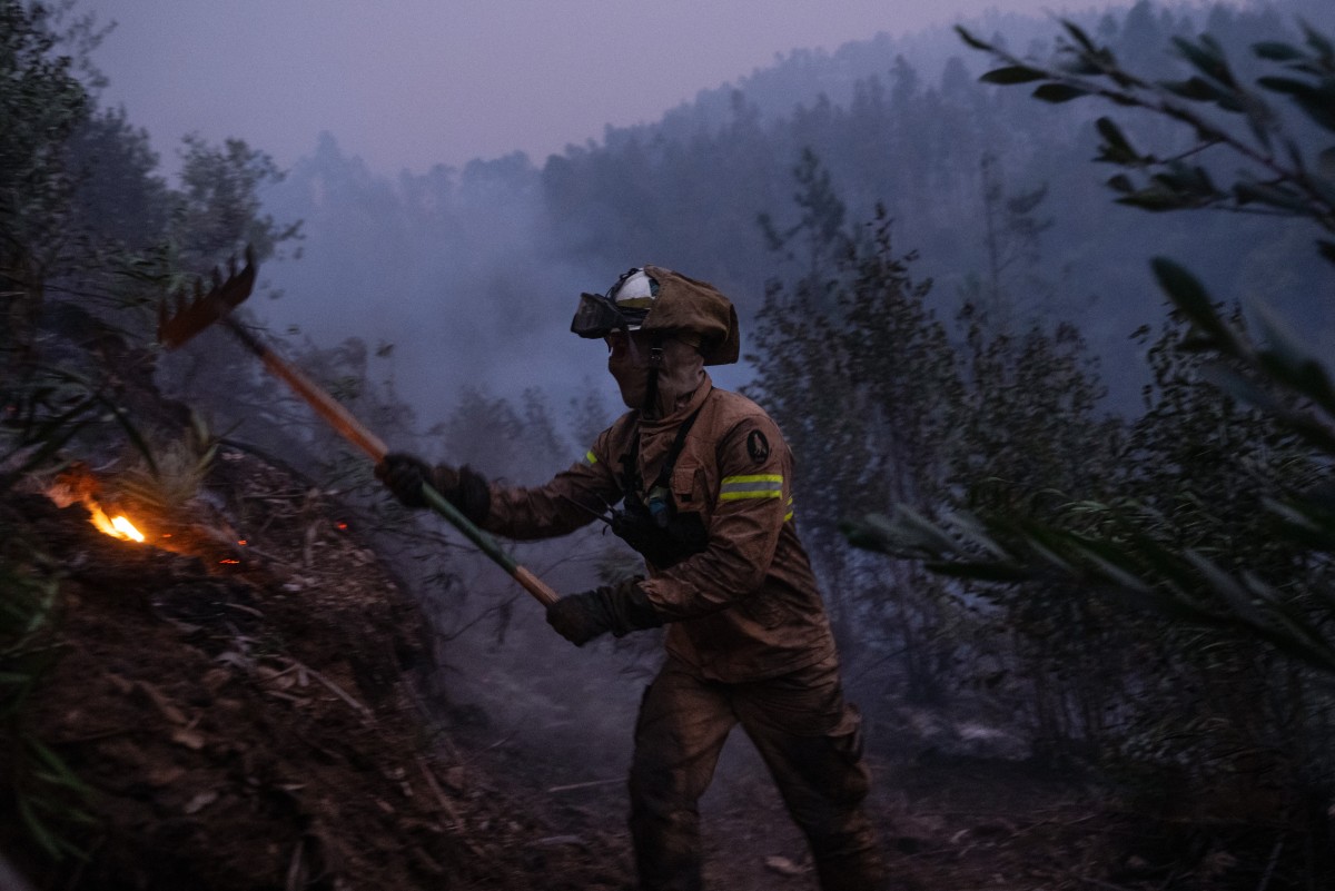portugal enviroment wildfires agueda