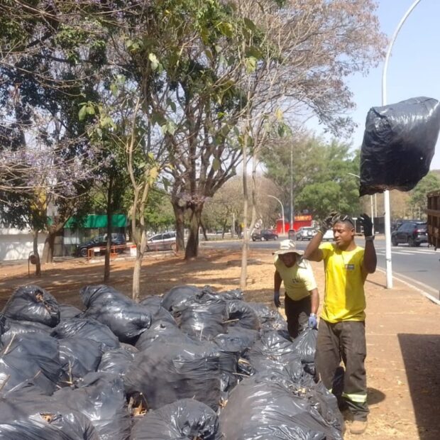 operaçao limpeza
