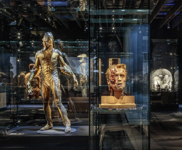 163286922361539b67ed0e4 1632869223 3x2 md