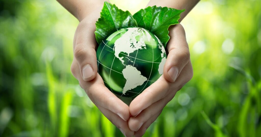 whatsapp image 2024 09 20 at 10.19.15 (1)