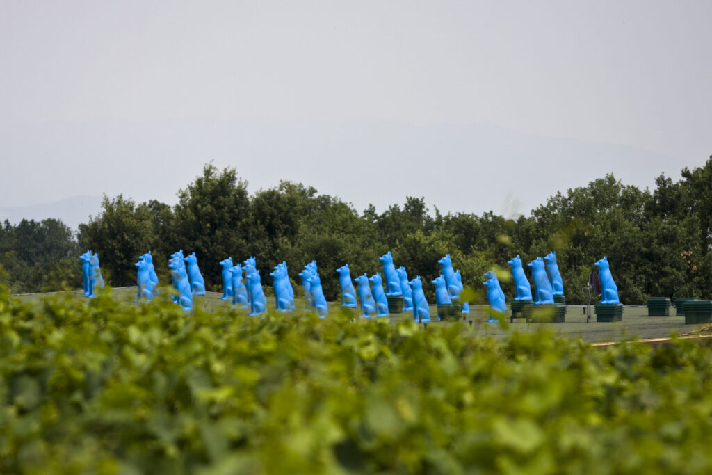 Blue Guardians Cracking Art/Divulgação