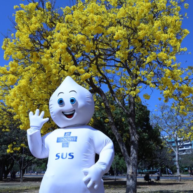 imagem do whatsapp de 2024 09 20 à(s) 20.20.11 ffc8fafd