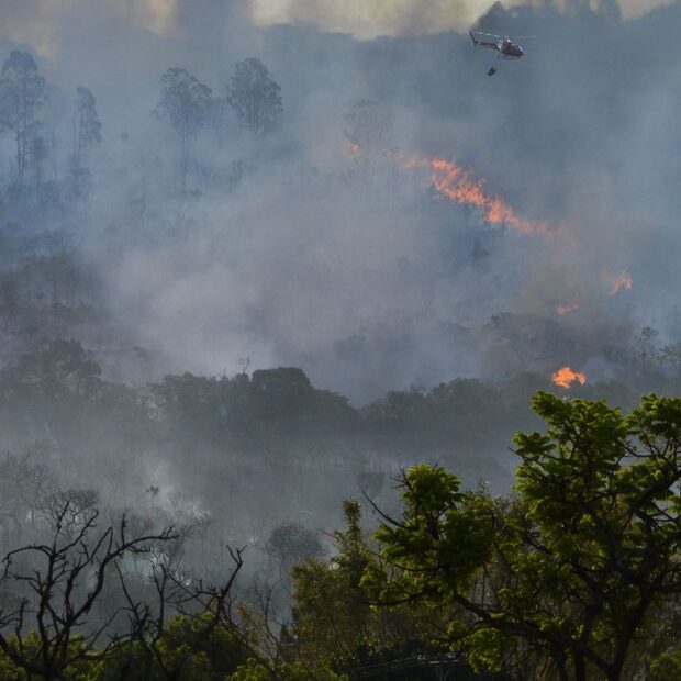 930018 incendio queimada 8