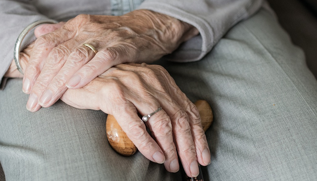 47b0cbb5 8cb1 4877 8761 631f2db2a37b