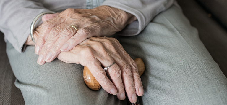 47b0cbb5 8cb1 4877 8761 631f2db2a37b