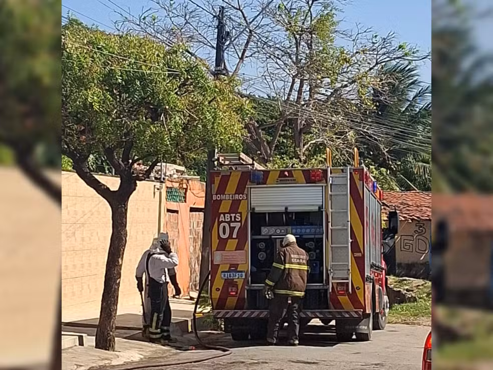 whatsapp image 2024 09 21 at 14.28.01 1