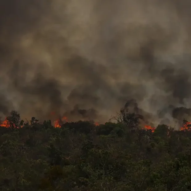 incendio parque nacionall mcamgo abr 16092024 3
