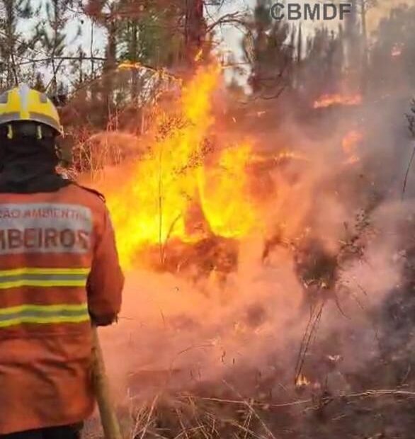 incêndio no park way