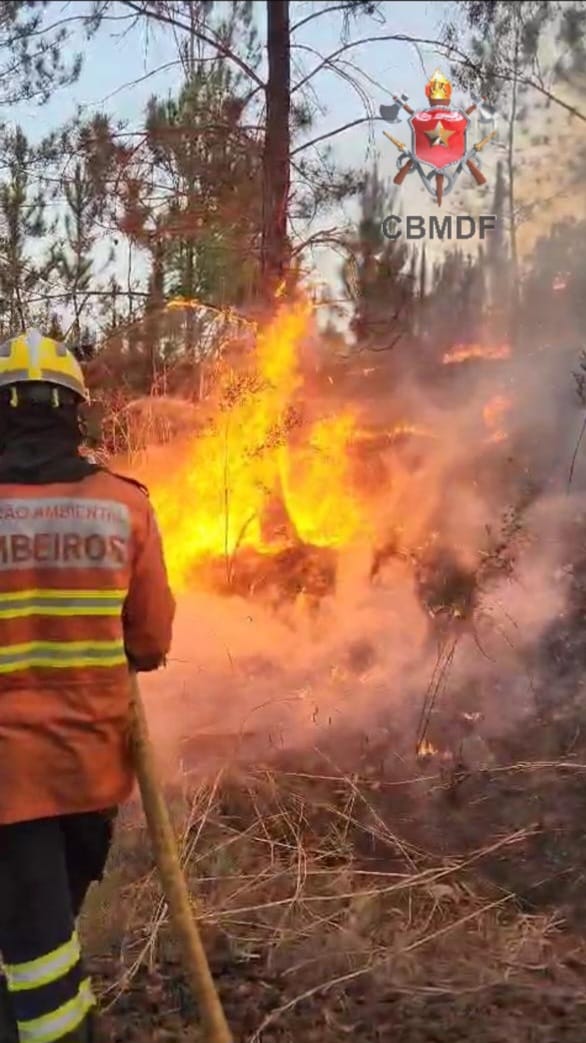 incêndio no park way