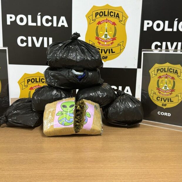 apreensão de drogas