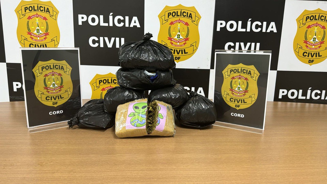 apreensão de drogas