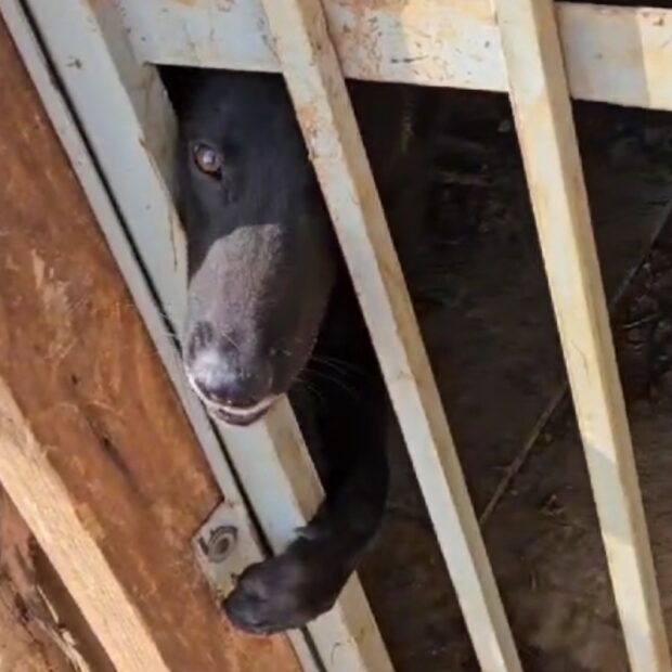 screenshot 20240925 114114 gallery